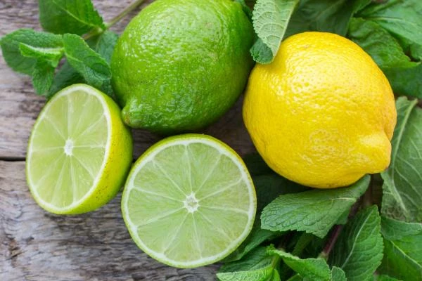 Mexico's Lemon and Lime Price Grows Rapidly to $1,695 per Ton